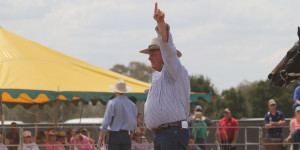 IMG_0853 IMG_0853