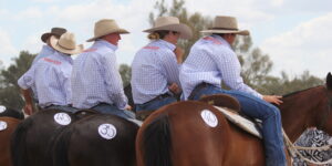 IMG_0948 IMG_0948