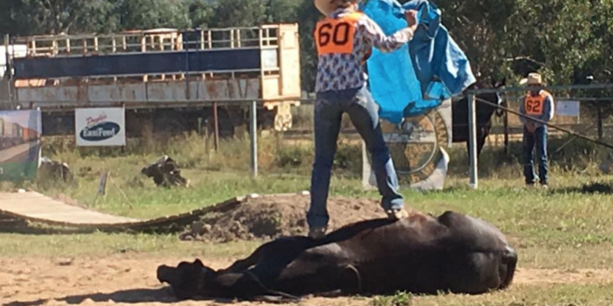 Screen Shot 2017-09-14 at 10.15.45 am