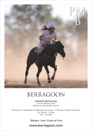 November Sale Catalogue